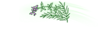 Aromactive