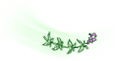 Aromactive